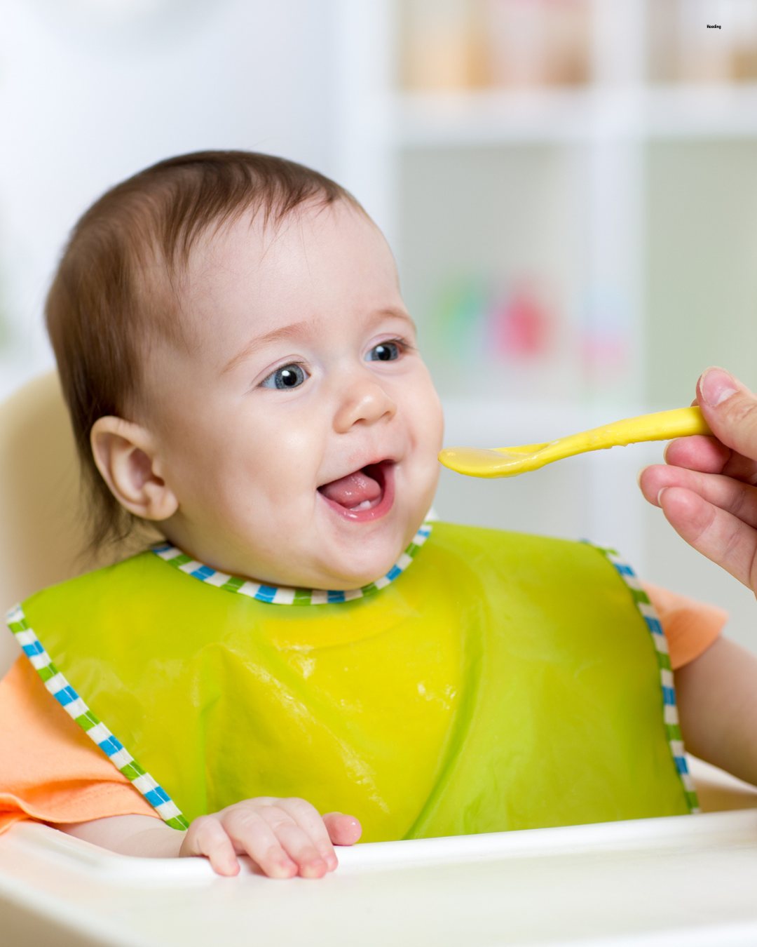 Infant to Toddler Feeding Development Milestones: A Parent's Guide